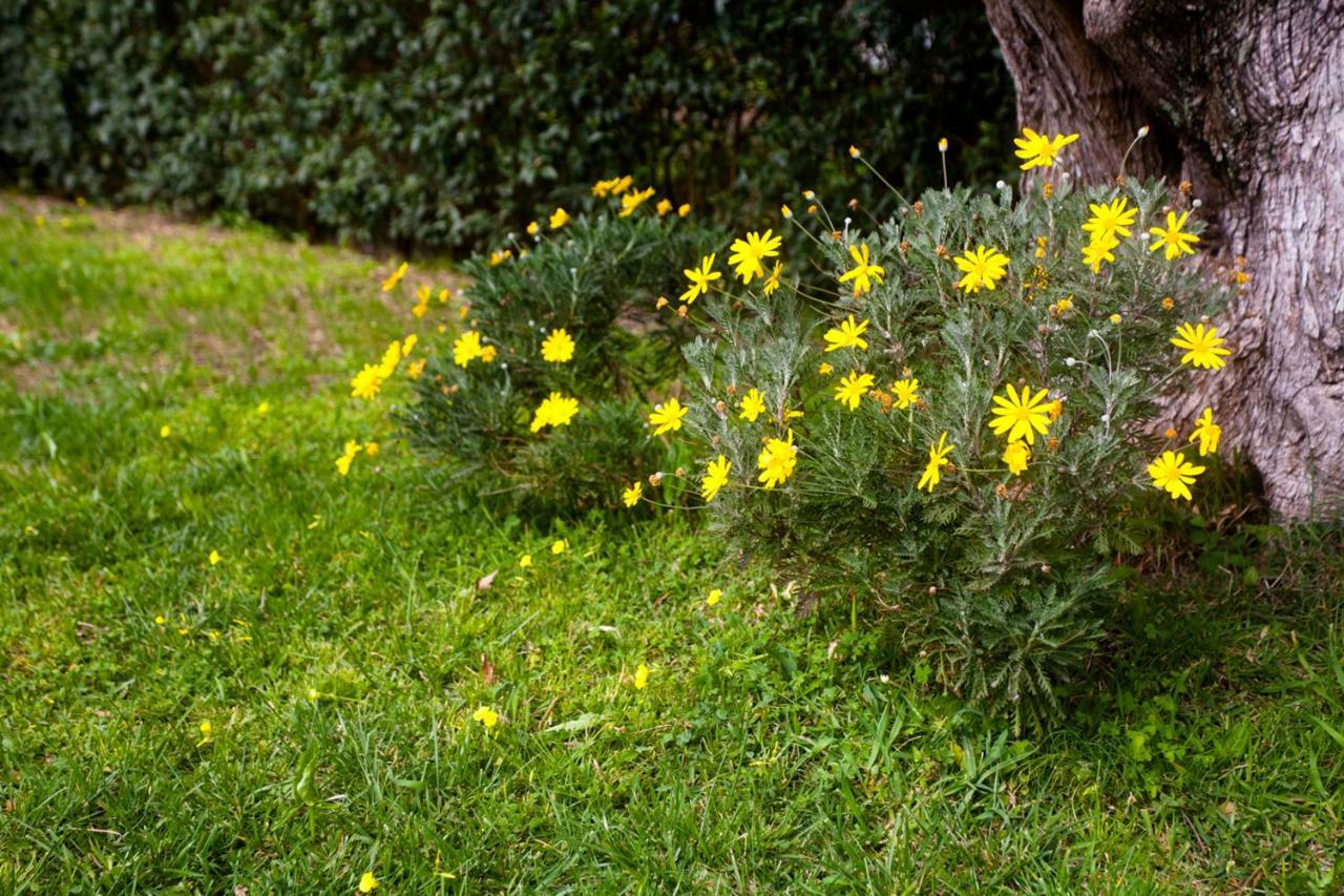 La Casa Di Caterina: Nature,Relax And Private Garden Lefkáda Exterior foto